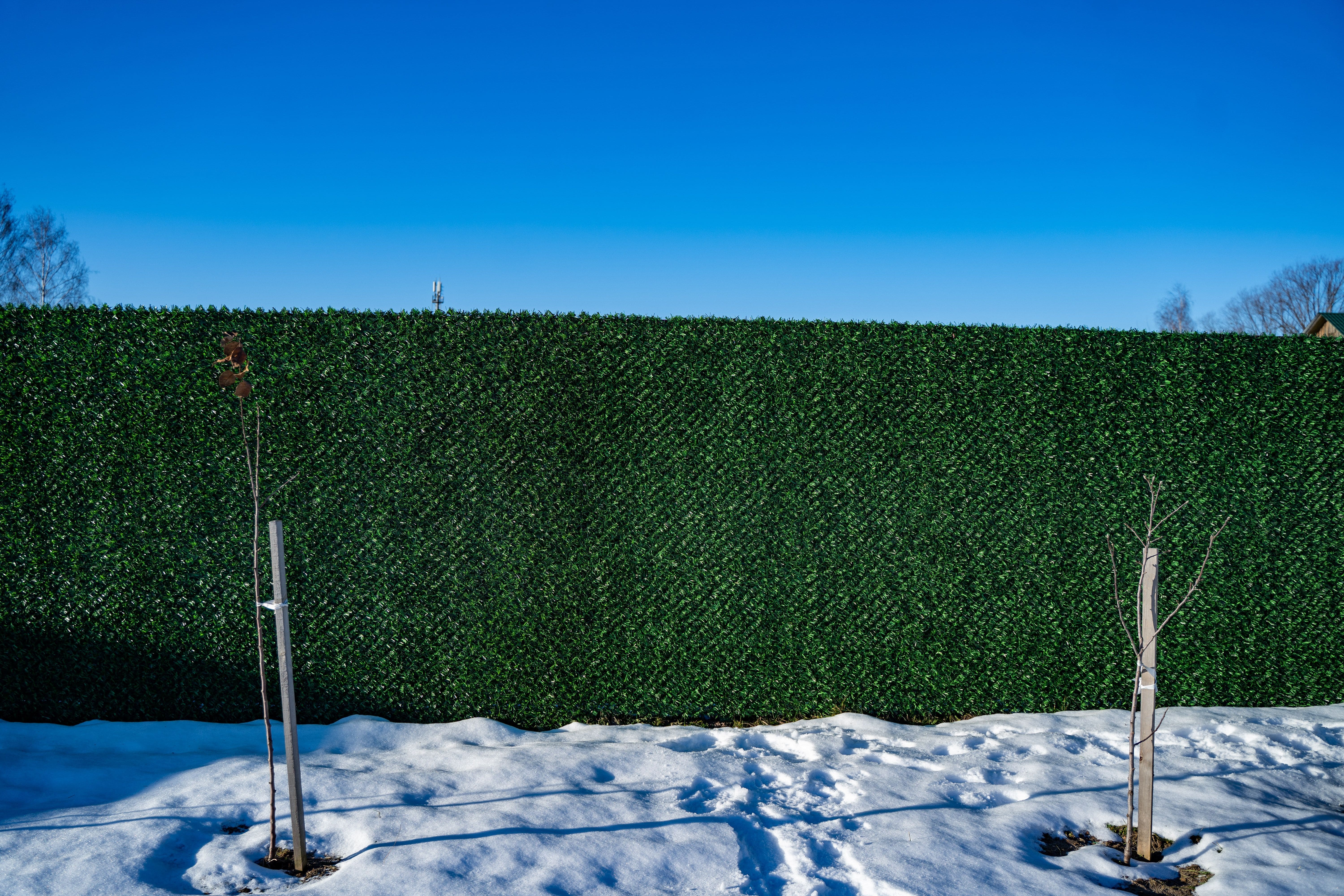 Вечнозеленый забор Grass Fence рулон 2м фото 8 в Грозном