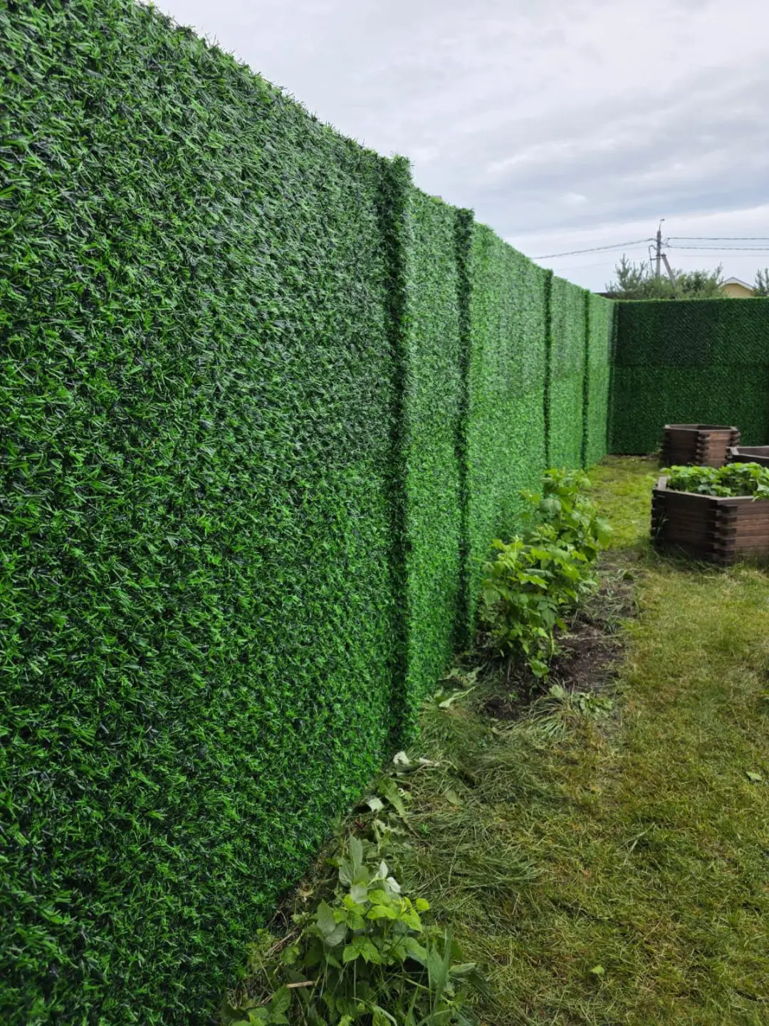 Вечнозеленый забор Grass Fence 37м фото 1 в Грозном